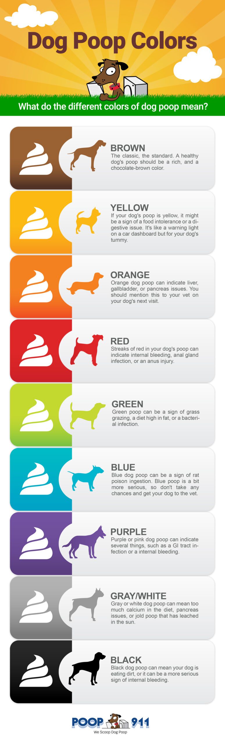 Dog Poop Colors Infographic. A visual guide to understanding the different colors and what can mean.