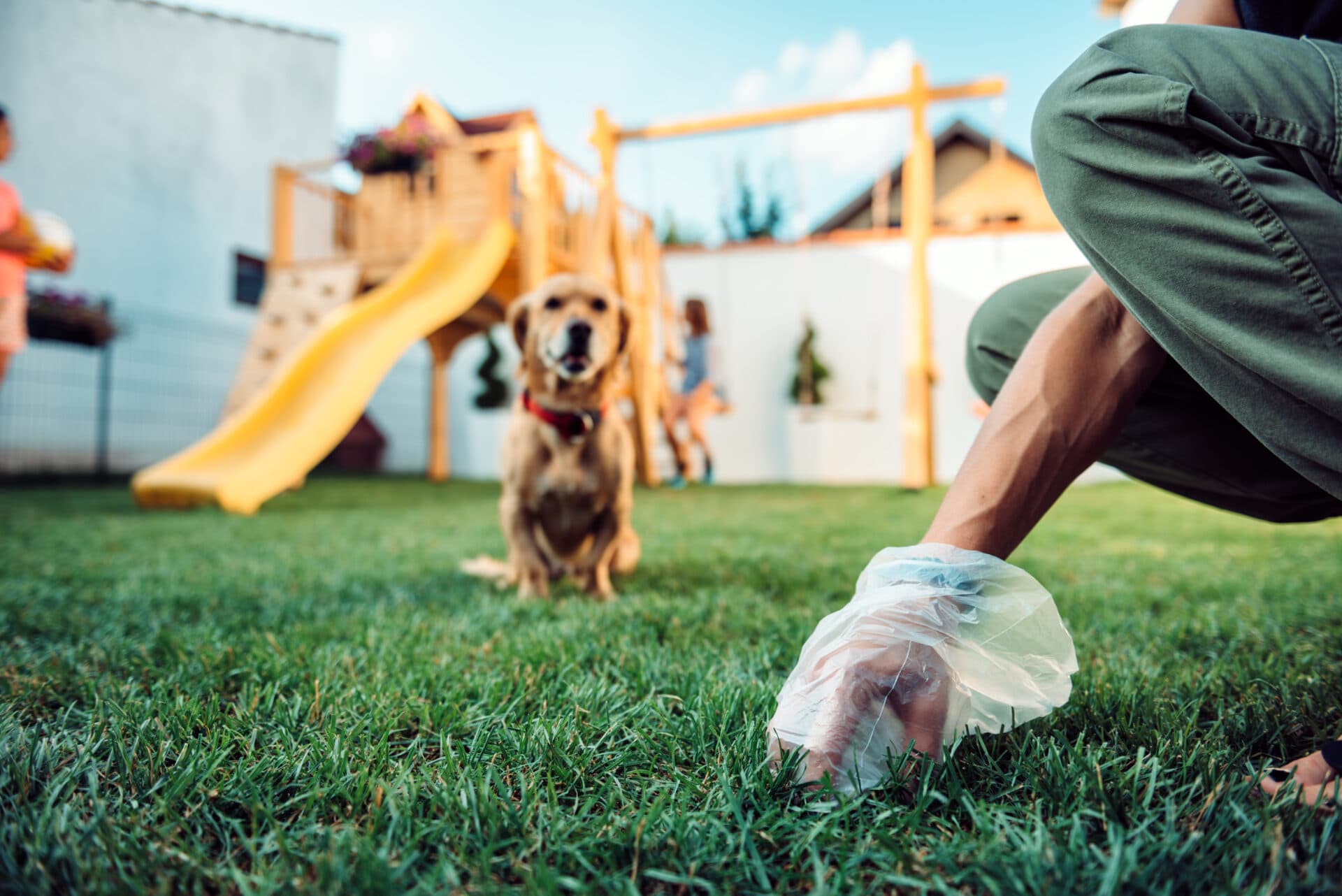 Experience the Difference in pooper scoopers services with Poop 911 West Jefferson, Ohio