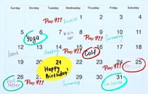 A Weekly Plan To Fit Your Schedule.