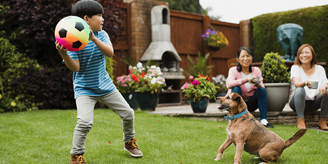 Kid playing fetch with dog in yard