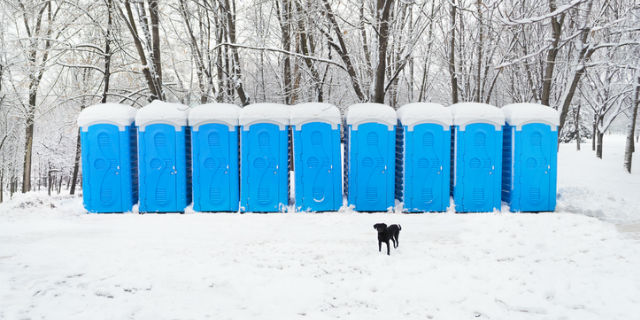 Snow covered blue portable plastic bio toilets with black dog on foreground in a park at winter